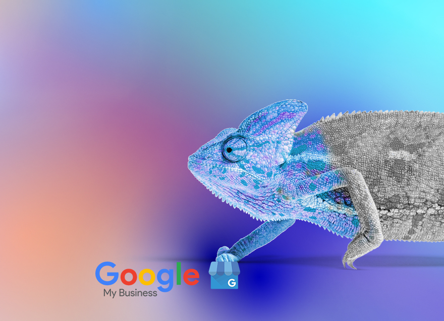 caméléon à moitié camouflé - google my business